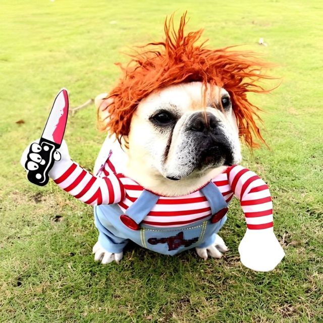 TerrorTail – Spooky Puppy Costume Set