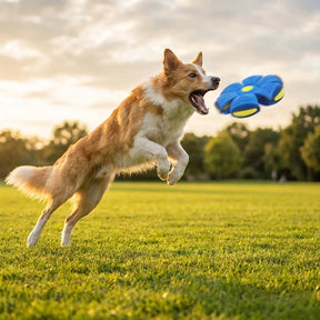 The World's Best 2-in-1 Interactive Toy To Keep Your Dog Entertained For Hours!