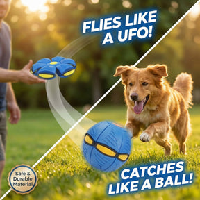 The World's Best 2-in-1 Interactive Toy To Keep Your Dog Entertained For Hours!