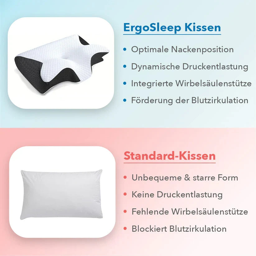 ErgoCloud | Pillow Confort