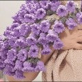 CozyBloom – Hand-Knitted Rose Blanket DIY Kit