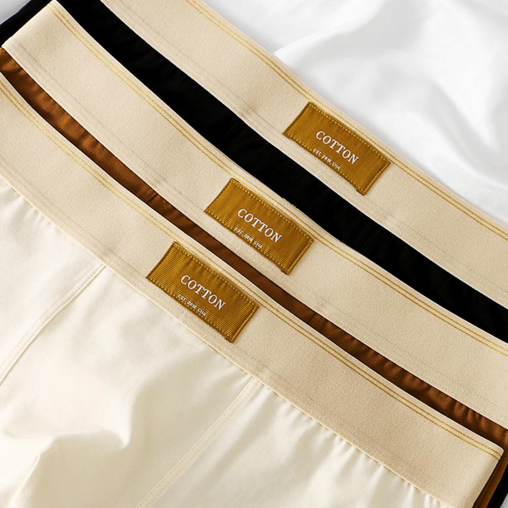 Cotton Boxer Shorts | Lupi