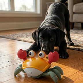 WagScuttle – Interactive Moving Crab Toy