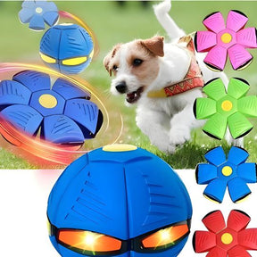 The World's Best 2-in-1 Interactive Toy To Keep Your Dog Entertained For Hours!