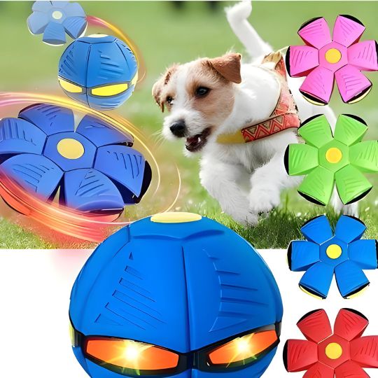 The World's Best 2-in-1 Interactive Toy To Keep Your Dog Entertained For Hours!
