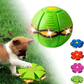 The World's Best 2-in-1 Interactive Toy To Keep Your Dog Entertained For Hours!
