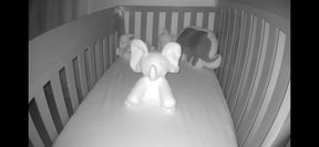 NightGuard – Mini HD Smart Security Camera