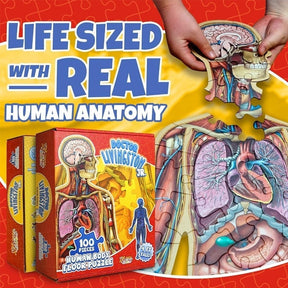 Organix – Interactive Anatomy Learning Puzzle