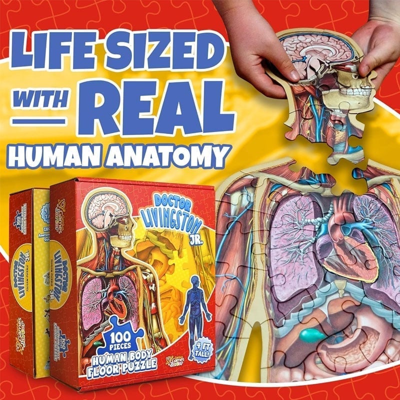 Organix – Interactive Anatomy Learning Puzzle