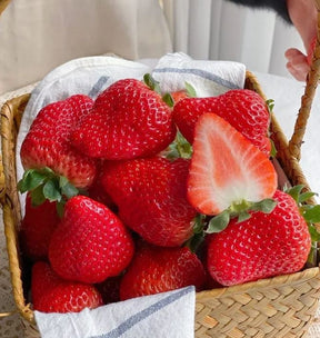 HarvestBerry – Garden Strawberry Seeds