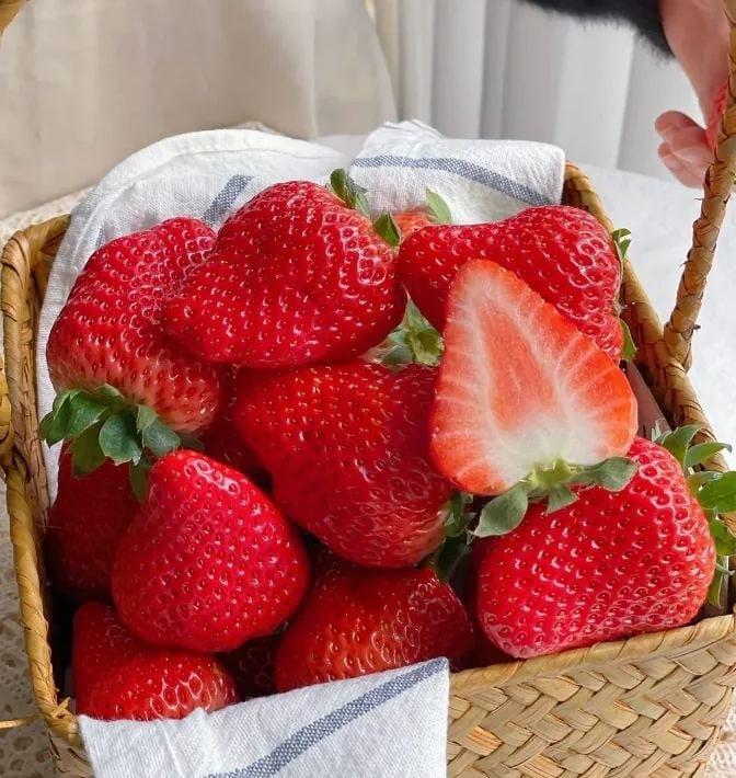 HarvestBerry – Garden Strawberry Seeds
