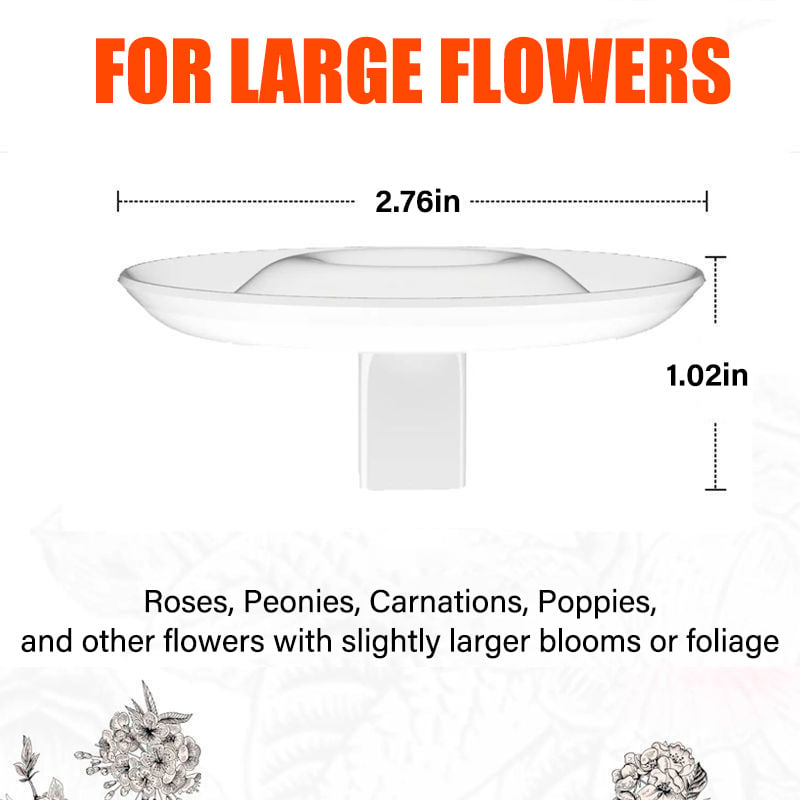 FloraFloat – Creative Floating Floral Arrangement Holder