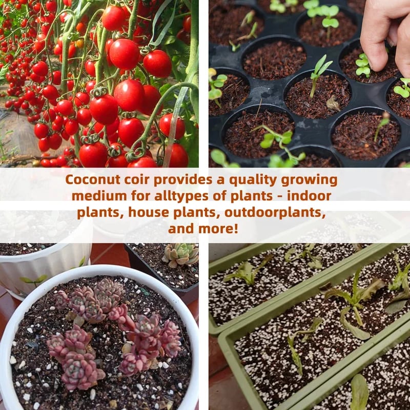 CocoBloom – Natural Coconut Coir Bricks for Plants