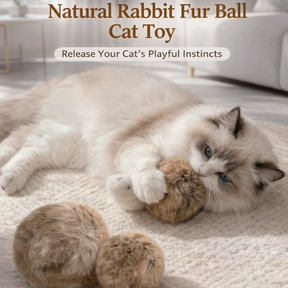 WhiskerRoll - Soft Plush Cat Toy