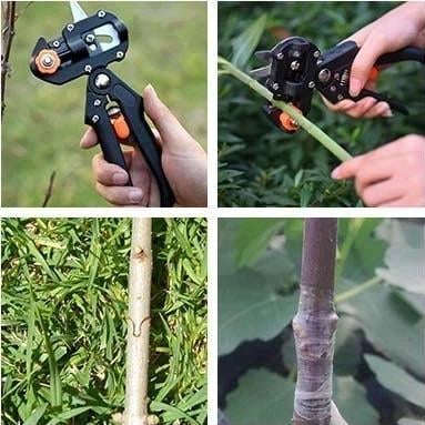 BranchBond – Professional Grafting Cutter