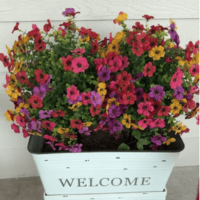 VividPetals – All-Weather Floral Set