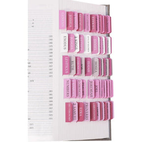 DivineTabs - Ultimate Bible Organizer
