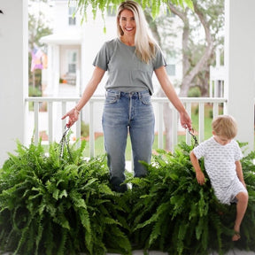 LeafLuxe – Realistic UV Protected Artificial Boston Fern