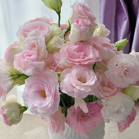 BloomRidge – Hardy Perennial Lisianthus Seeds