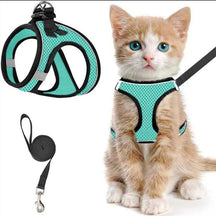 PawFit – Adjustable Pet Harness & Leash Set