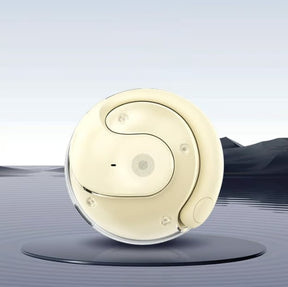 LinguaWave – Real-Time Language Translator Earbuds