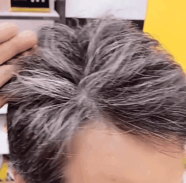 HerbaColor – Plant Extract Hair Dye Essence
