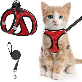 PawFit – Adjustable Pet Harness & Leash Set