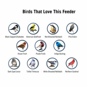SeedGuard – Smart Hanging Bird Feeder