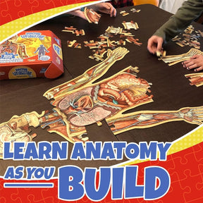 Organix – Interactive Anatomy Learning Puzzle