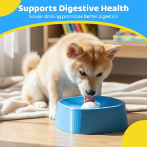 SipGuard – Controlled Drinking Bowl for Pets