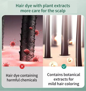 HerbaColor – Plant Extract Hair Dye Essence