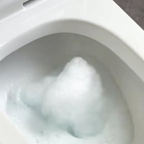 DrainFish – Quick-Dissolving Clog Remover