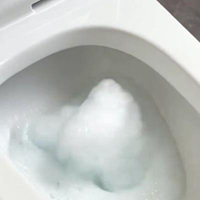 DrainFish – Quick-Dissolving Clog Remover