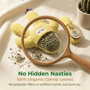 CatnipCove - Cactus Play Toy Collection