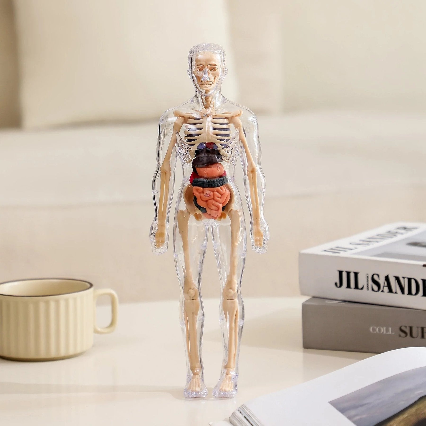 SmartSkeleton – Fun Stem Anatomy Model for Kids