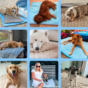 PawBreeze – Instant Cooling Pet Mat