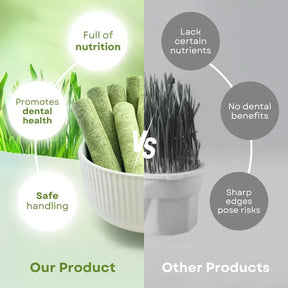 PurrChew – Natural Cat Grass Chew Sticks