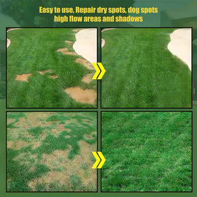 LawnRevive – Quick Repair Grass Seed Mix