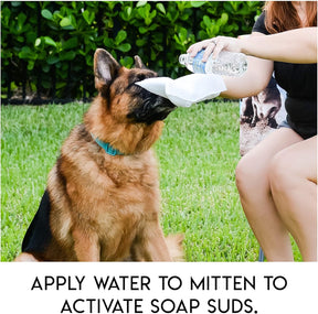 PawComfort – Rinse-Free Grooming Solution