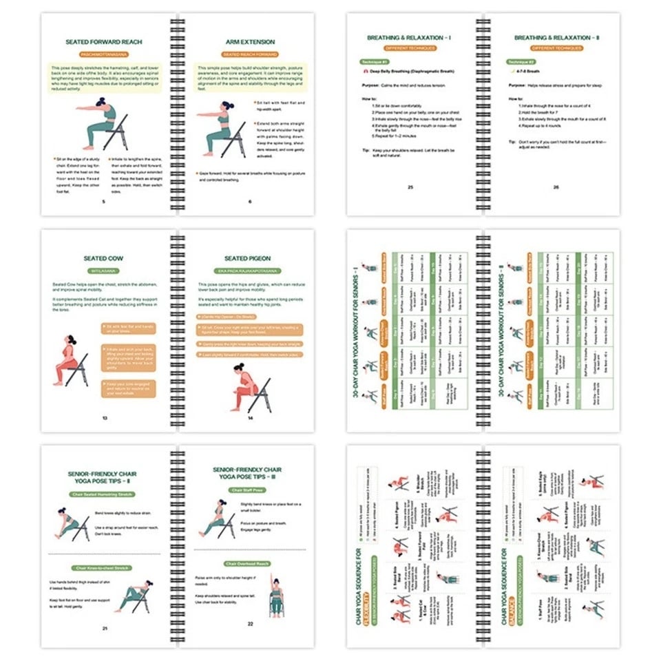 LifeStretch – Chair Yoga Transformation Plan