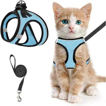 PawFit – Adjustable Pet Harness & Leash Set