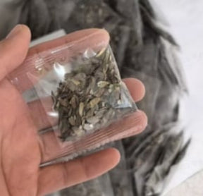 PurePetal – Zinnia Seeds for Vibrant Heirloom Flowers