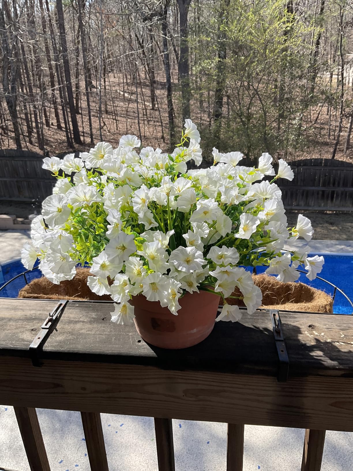 EverBloom – UV Resistant Artificial Petunias Flowers