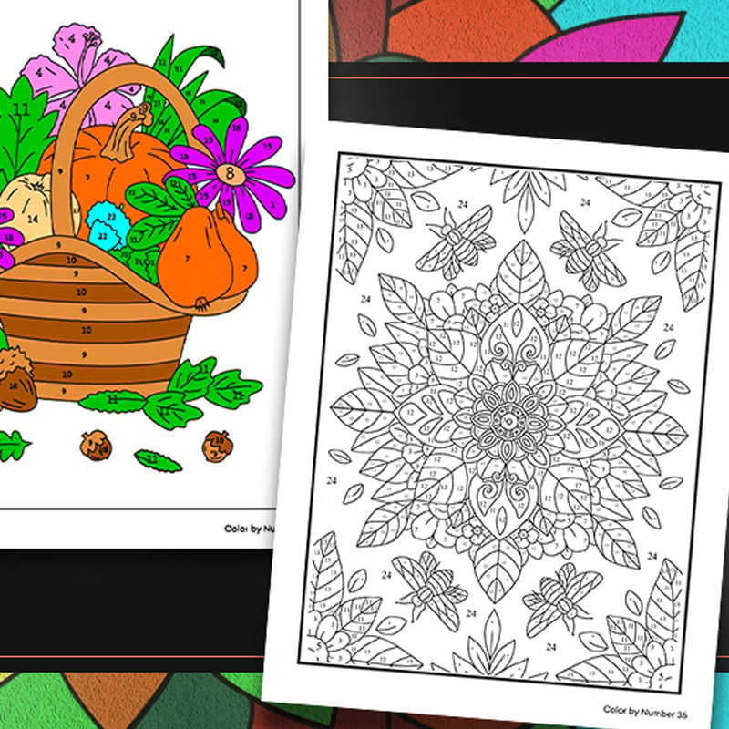 QuietCanvas – Therapeutic Coloring Book for Adults