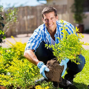 SoilNova – Soil Pro Activator