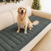 FurSafe – Premium Pet Couch Cover