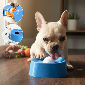 SipGuard – Controlled Drinking Bowl for Pets