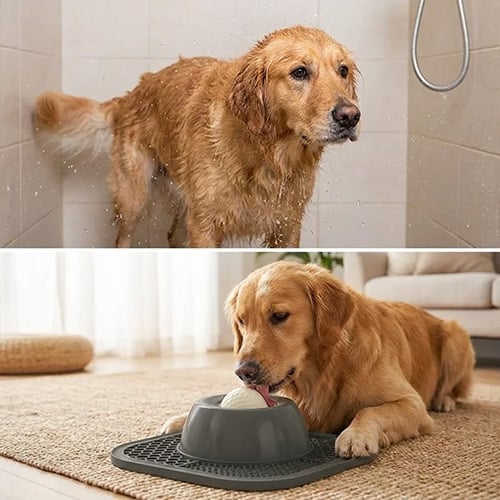 TreatMotion – 2-in-1 Lick Mat Feeding Toy