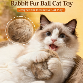 WhiskerRoll - Soft Plush Cat Toy
