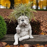 BullyPot - Decorative Dog Planter
